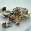 BV-Magic-Mushrooms-scaled Bluey Vuitton 28 grams Magic Shrooms