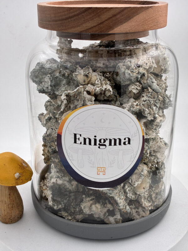 IMG_0015-scaled 28 grams Enigma Magic Mushrooms
