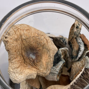 IMG_0023-300x300 28 grams Jedi Mind Fuck Magic Mushrooms