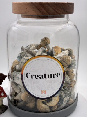 28 grams Creature Magic Mushrooms