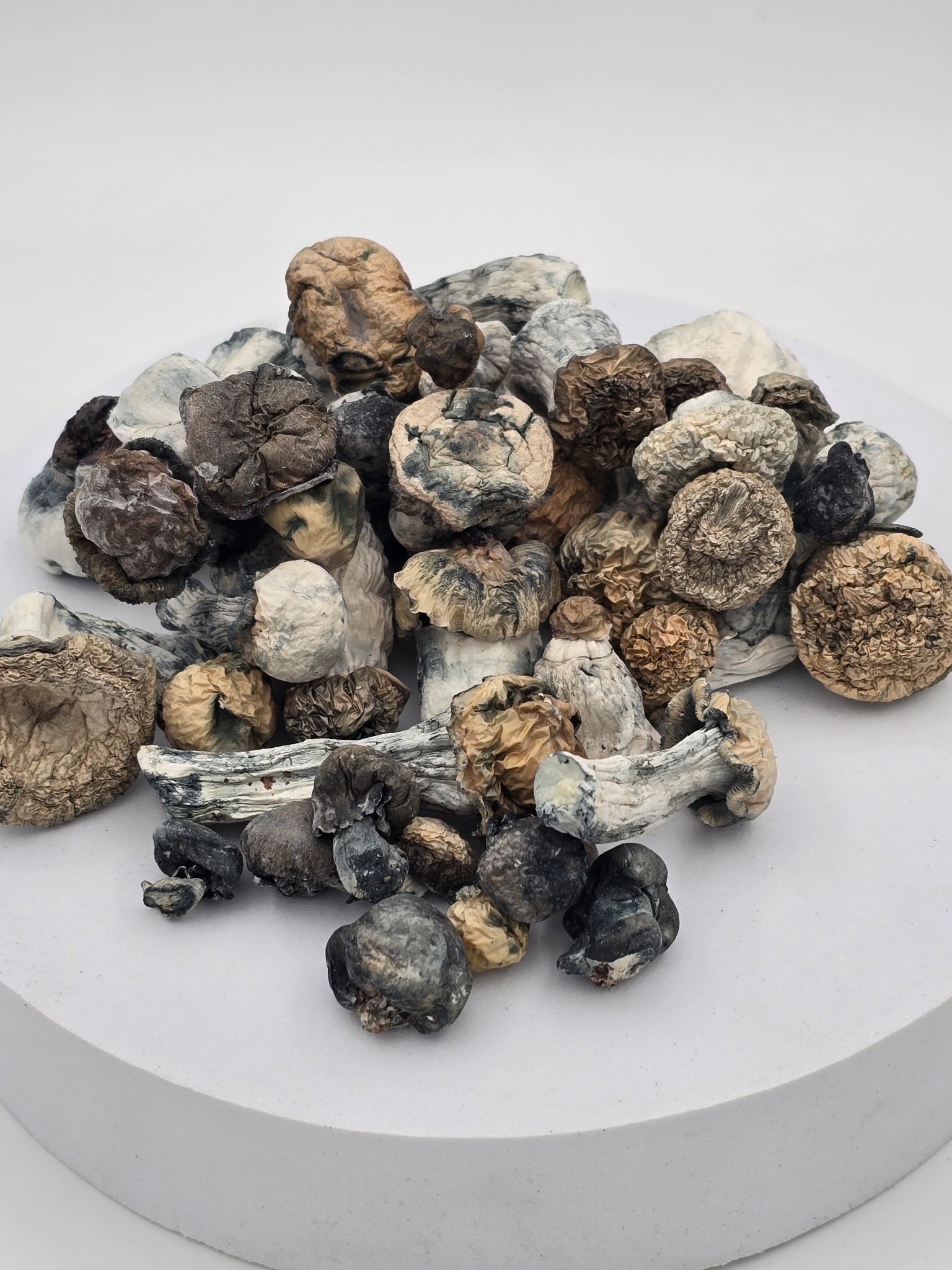 28 grams SNAPE – Starry Night Albino Penis Envy